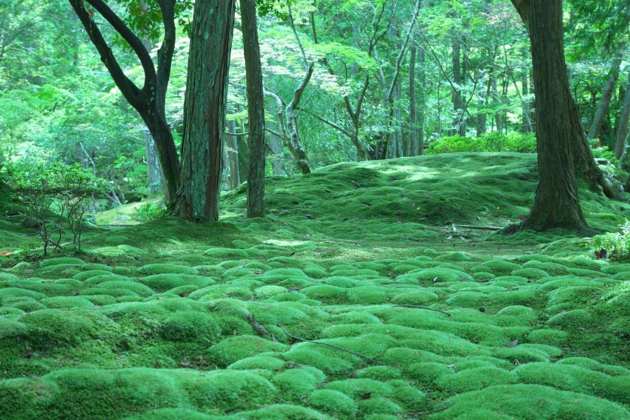 Hotel Arrows Arashiyama Kiotó Kültér fotó